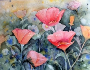 poppies