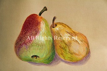 Pears (colored pencil drawing)